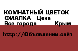 КОМНАТНЫЙ ЦВЕТОК -ФИАЛКА › Цена ­ 1 500 - Все города  »    . Крым